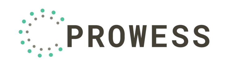 Prowess - Digital Transformation Logo